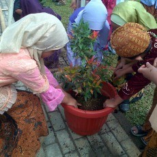 Kartinian, Ratusan Siswa SD Tanam Pohon Sambil Berkebaya