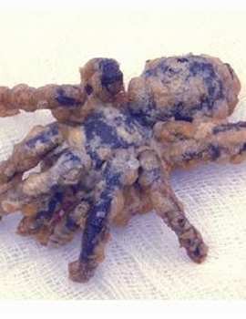 Berani Mencicipi Tarantula dan Embrio Bebek?