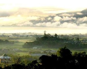 Gayo, Kopi Legit dan Desa yang Eksotis di Aceh