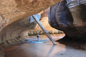 5 Taman Nasional Paling Keren di AS
