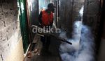 Waspada DBD Bulan April Hingga Mei