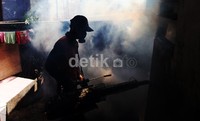 Dr. dr. Tri Yunis Miko Wahyono, M.Sc. dari Pusat Riset Epidemiologi dan Surveilans Fakultas Kesehatan Masyarakat Universitas Indonesia mengatakan pada bulan April dan Mei, intensitas kembang biak nyamuk penjangkit DBD, Aedes aegypti sangat tinggi.
