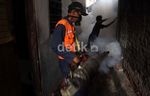Waspada DBD Bulan April Hingga Mei