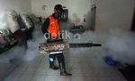 Waspada DBD Bulan April Hingga Mei
