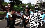 Kantor Hatta Rajasa Didemo Peternak Susu