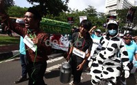 Ratusan peternak susu menggelar aksi demo di kantor Menko Perekonomian Hatta Rajasa, Jakarta.