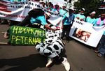 Kantor Hatta Rajasa Didemo Peternak Susu