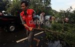 Pohon Tumbang Halangi Jalur TransJ
