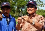 Bosowa Rambah Bisnis Sayuran Organik