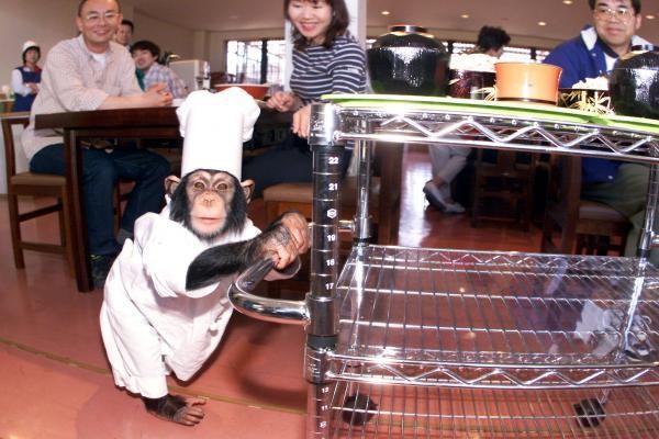 8 Peluang Bisnis Paling Konyol dari Pengusaha Asia