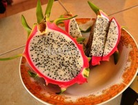 Buah Naga digemari karena manfaatnya sebagai pencegah radikal bebas dan anti oksidan yang baik bagi tubuh manusia. Selain itu buah naga juga baik dikonsumsi bagi penderita batuk, kolesterol dan hipertensi.