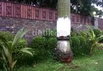 Ini Dia Lokasi Kecelakaan Ustad Jeffry