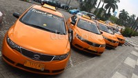 Sejak 2008 TransCab lebih percaya untuk menjadikan KIA sebagai armada taksi mereka dibandingkan dengan pabrikan lain.
