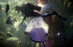 Milkuat Freshy Diluncurkan di Akuarium Sea World