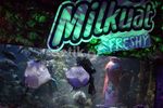 Milkuat Freshy Diluncurkan di Akuarium Sea World