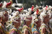 Peserta karnaval mengenakan kostum yang atraktif.