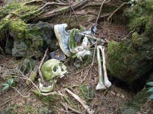 5 Hutan Paling Angker di Dunia
