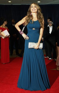 Ia memadukan gaunnya itu dengan clutch bag silver dan perhiasan pink. REUTERS/Jonathan Ernst.