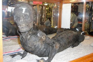 Museum Ini Punya Mumi Manusia Setengah Buaya!
