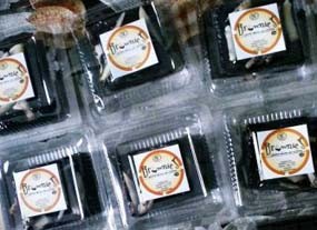 Brownies Salak Sehat dan Aman Untuk Diet