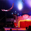 Penawaran Spesial Buy 1 For 2 The Great World Circus dari BCA