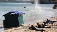 Dalam simulasi tersebut, para musuh melakukan perlawanan dengan memberondong tembakan dari bibir pantai.