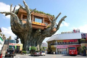 Unik! Restoran di Jepang Ini Nangkring di Pohon