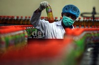 Pabrik yang berdiri di atas lahan seluas 7 heaktar ini menggunakan teknologi yang canggih dan higienis.