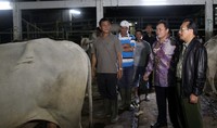 Menteri Pertanian RI Suswono didampingi Kepala Dinas Pertanian dan Peternakan Sulut Johanes H Panelewen, Kamis (2/5) malam meninjau rumah pemotongan hewan Bailang di Manado, Sulut. (dok Kementan)