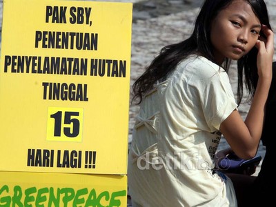 Greenpeace Minta Perpanjagan Penyelamatan Hutan