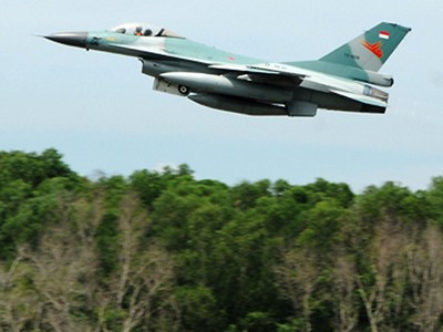 TNI AU Paksa Turun Pesawat Musuh