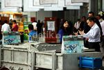 Sertifikasi Sawit Ala Indonesia Mulai Diakui