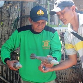 2 Mortir Aktif Sisa Latgab Disimpan di Bawah Kandang Milik Warga
