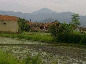 Wakapolda Jabar: 1 Terduga Teroris Ditangkap, 3 Bertahan