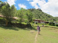 Distrik Maima terletak di Lembah Baliem, Kabupaten Jayawijaya, Papua. Dari Kota Wamena, perjalanan darat memakan waktu sekitar 1 jam (Sastri/detikTravel)