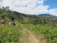 Di Distrik Maima, wisatawan bisa menemukan jalan setapak seperti ini di banyak tempat. Trekking sudah jadi aktivitas sehari-hari warga Distrik Maima. Wisatawan mana yang akan bosan kalau trekking dengan panorama seindah ini? (Sastri/detikTravel)