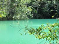 Telaga Biru adalah tujuan saya sesungguhnya saat itu. Danau mungil ini punya air berwarna hijau toska, entah mengapa dinamakan Telaga Biru. Untuk mencapainya, wisatawan hanya perlu trekking sekitar 30 menit dari Distrik Maima (Sastri/detikTravel)