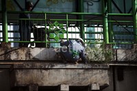 Rumput-rumput liar juga dibasmi.