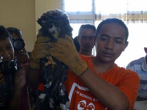 Penjualan Hewan Langka via Online Diungkap di Semarang, 1 Orang Dibekuk