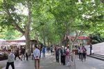 Taman Kota Shanghai yang Harus Ditiru Jakarta
