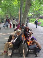 Taman Kota Shanghai yang Harus Ditiru Jakarta