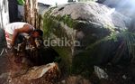 Sisa-sisa Bunker Pertahanan Jepang di Pulau Doom