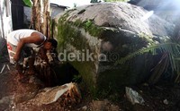 Seorang warga menunjukkan bunker peninggalan Jepang di Pulau Doom, Sorong Barat.