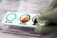 Sebelum diambil darahnya, mereka diperiksa terlebih dahulu jenis golongan darahnya.