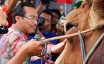 Mentan Suswono Pantau Stok Daging Sapi