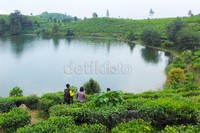 Situ dalam bahasa Sunda berarti danau.  Sedangkan patengan berasal dari kata pateang-teangan yang berarti saling mencari.