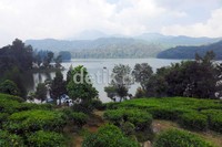 Situ Patengan dikelilingi perbukitan dan perkebunan teh Rancabali yang menyejukkan mata.