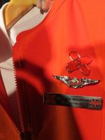Cukur Bulu Kaki Demi Jadi Pramugari AirAsia