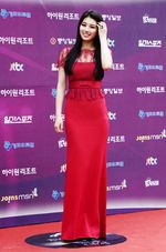 Suasana Red Carpet Baeksang Arts Awards 2013