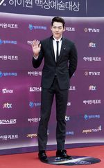 Suasana Red Carpet Baeksang Arts Awards 2013